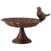 Bird Bath (1 Bird)