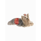 Belly Bands Dog Diapers