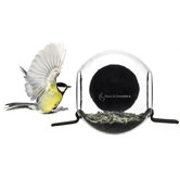Bird Feeder