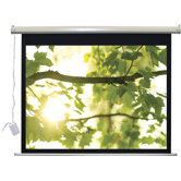 Lectro IR QM "A Series" Motorized Screen AV (1:1) Format - 110V 60" x 60"