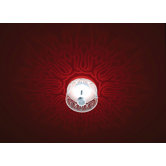 Shining Bombay Wall/Ceiling Light