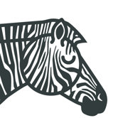 Animals Zebra Painting