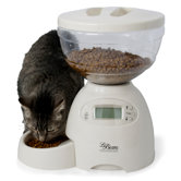 Cat Bowls & Feeders