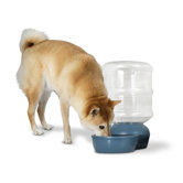 Ap Lebistro Pet Water Dispenser