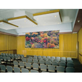 Paramount Electric Screen