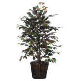 Mystic Bush Tree