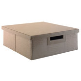 Media Storage Bin in Patent Leather Croc Biege
