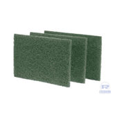 Medium-Duty Scouring Pad in Green - 10/Pack