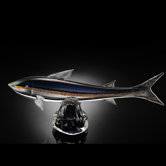 Art Glass Trout with Gift Box