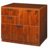 Combo Lateral File