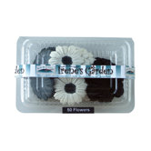 Irene's Garden Oblooms Flower Box (Set of 12)