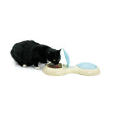 Dinner Time Double Pet Feeder Bowl