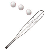 Hall Of Fame Wall Bat