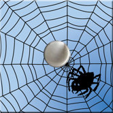 Spiderweb Switch Cover