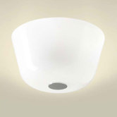 Ayers PL38 Ceiling Light`