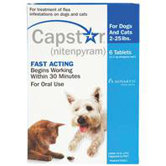 Capstar Pet Flea Medicine