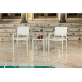 Fusion Arm Chair (Set of 2)
