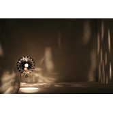 Steamlight Clamp Lamp