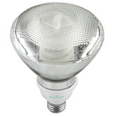 23 Watt Par 38 Covered Flourescent Light Bulb