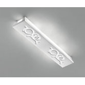 Shade P-PL70 Wall/Ceiling Lamp
