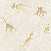 Candice Olson Kids Dinosaur Fossil