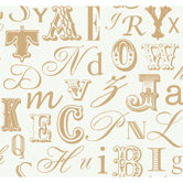 Risky Business Word Play Prepasted Wallpaper