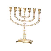 7 Branches Menorah