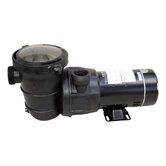 Maxi Replacement Pump for Above Ground Pool