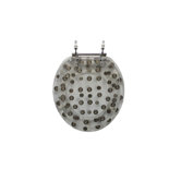 Polyresin Toilet Seat with Coin Design