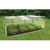 BioStar Polycarbonate Cold Frame Greenhouse