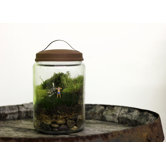 Boobies Assembled Terrarium