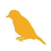 Silhouette - Bird Stretched Wall Art