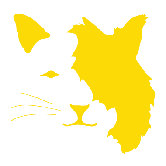 Animal Face - Cat Stretched Wall Art