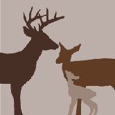 Animal - Deer Stretched Wall Art