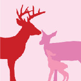Animal - Deer Stretched Wall Art
