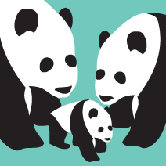 Animal - Three Pandas Stretched Wall Art