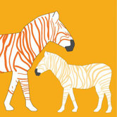 Animal - Zebra Stretched Wall Art