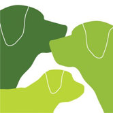 Animal - Dog Family Stretched Wall Art
