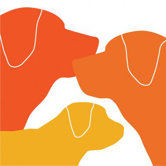 Animal - Dog Family Stretched Wall Art