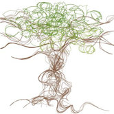 Imagination - Branches Stretched Wall Art