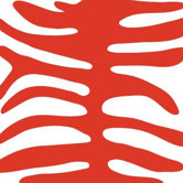 Pattern - Animal Print Stretched Wall Art