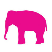 Silhouette - Elephant Stretched Wall Art