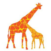 Animal - Reticulated Giraffe Stretched Wall Art