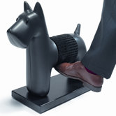 Drahthaar-Foxterrier "Benny Brush"