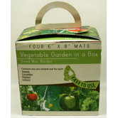 Vegetable Garden Collection (Set of 6)