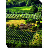 Pienza Contryside Outdoor Canvas Art