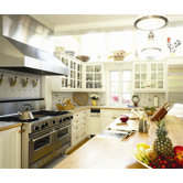 Professional Series Model X-Deep Wall Mount Hood