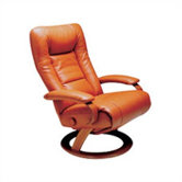 Ella Leather Egonomic Recliner
