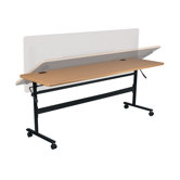Economy Flipper Training Table