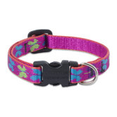Wing It 1/2" Adjustable Dog Collar